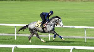 Dubai – Kevin Ryan Racing
