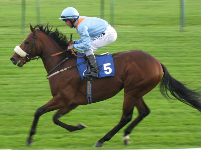 lexi – Kevin Ryan Racing