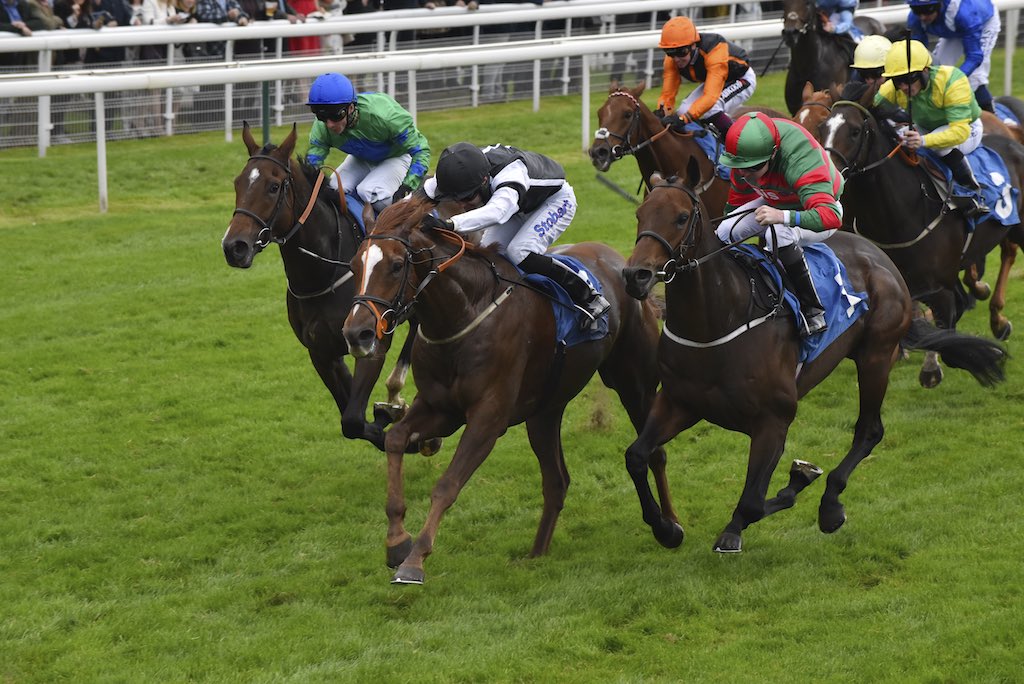 race-1-3 – Kevin Ryan Racing