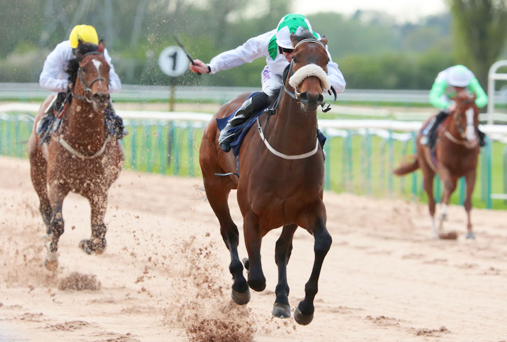 Zarjaz – Kevin Ryan Racing