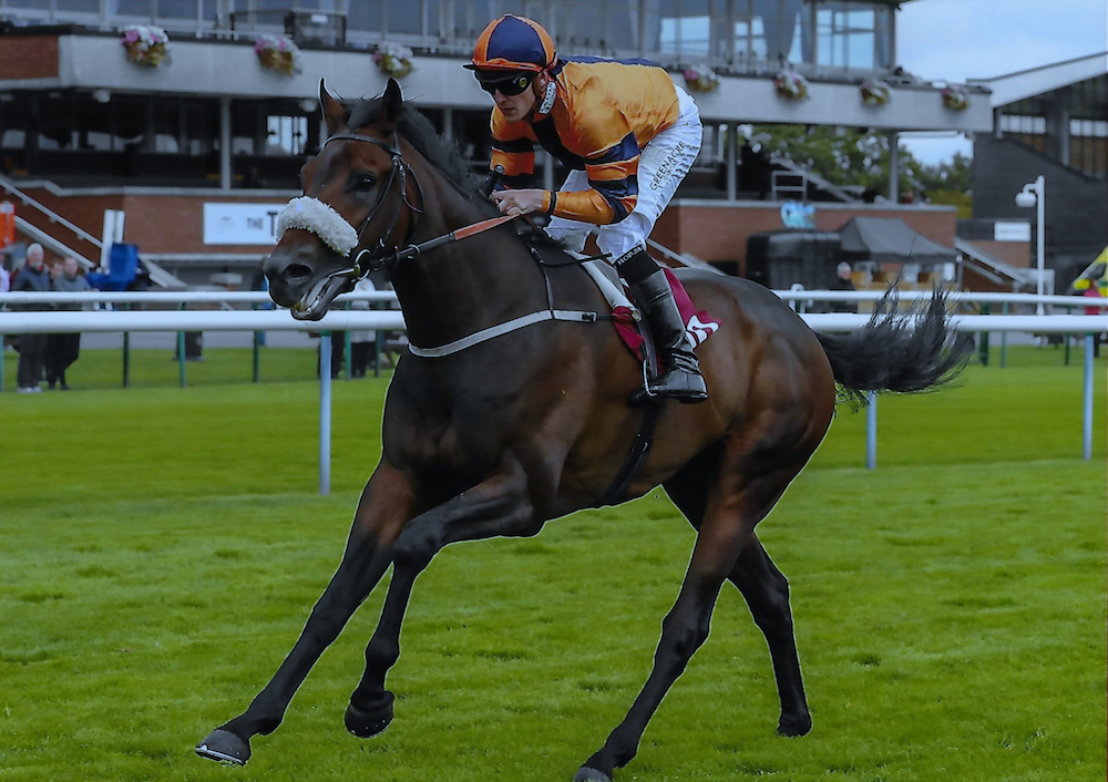Everything For You – Kevin Ryan Racing