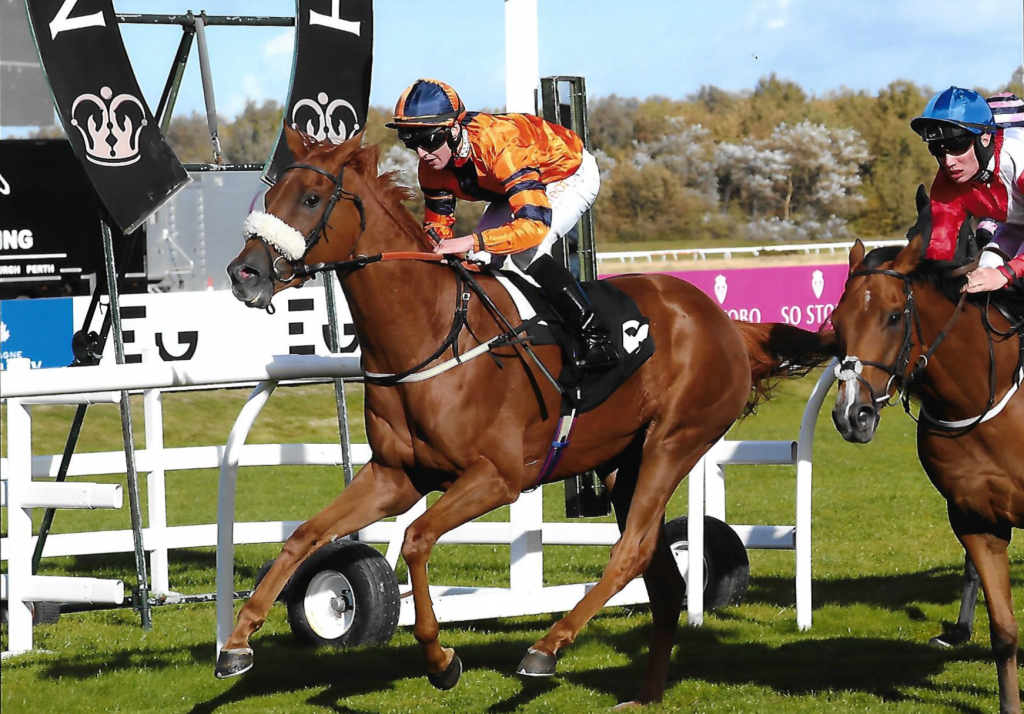 How Bizarre – Kevin Ryan Racing